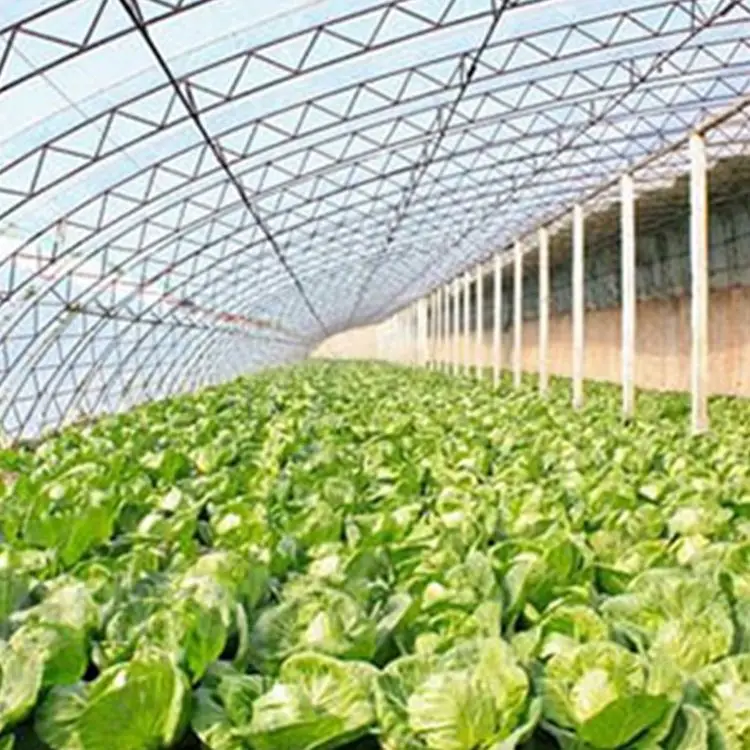 Turnkey Project Customizable Single Span Tunnel Agriculture Vegetable Greenhouses Kit for Growing Cucumbers