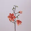 สีส้ม
