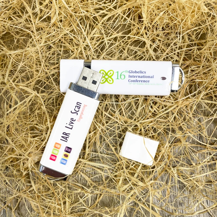 Bulk Cheap Business Gift Plastic USB Flash Drive 1GB 2GB 4GB 8GB 16GB 2.0 USB Stick Pen Drive with Custom Logo - ANKUX.COM