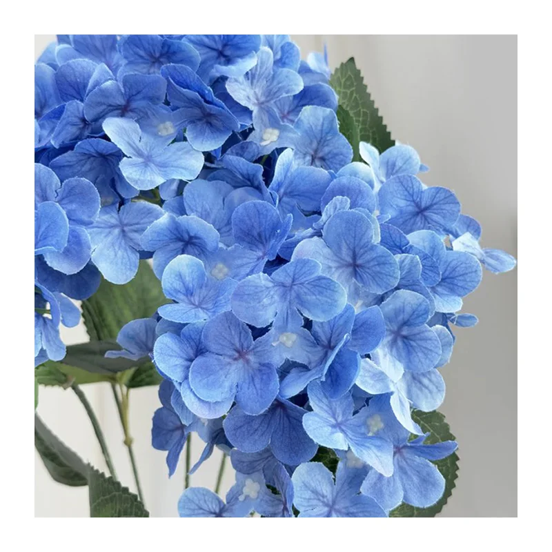 Насладявайте се на шелкова хидрангея през целия години