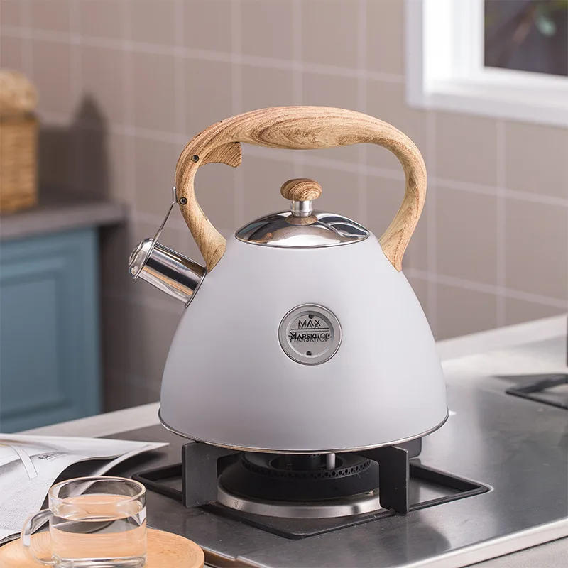 domestic induction teapot cooker gas range