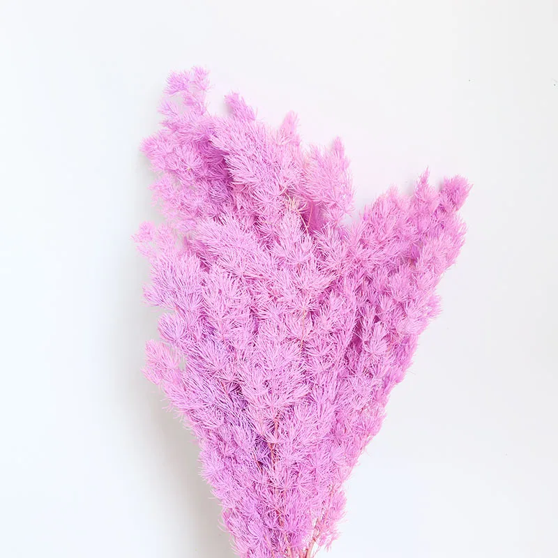 Yunnan Getrocknete Blumen Spargelfarn Farbiger Getrockneter Konservierter  Ming-Farn| Alibaba.com