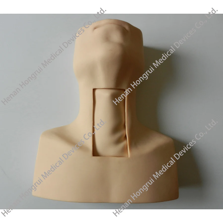 Trach Model Tracheostomy Care Simulator,Percutaneous Tracheostomy Training Model ...