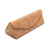 Glasses Case