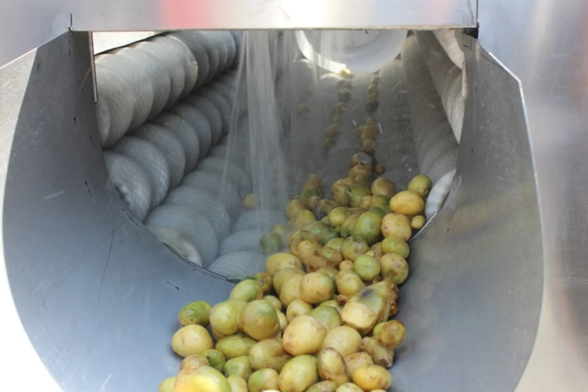 Multipurpose Brush Roller Machines for Washing and Peeling Potatoes Vegetable Fruit Sweet New Product 2020 Provided Wash Fruit