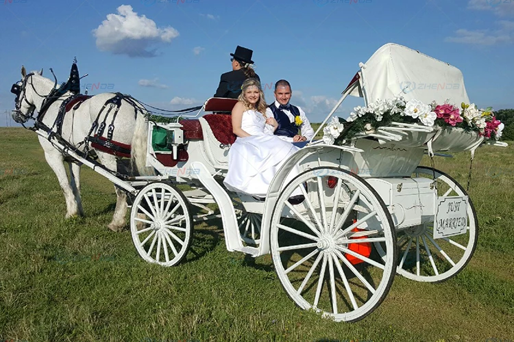 Used Cinderella Pumpkin Princess Wedding Carriage Horse Drawn Carriage Royal Horse Trailer for Sale