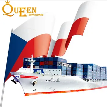 Professional Air Shipping Door to Door Sea Freight Forwarder DDP Shipping Agent Freight Forwarder China to USA  Czechoslovakia