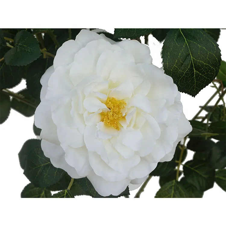 Flor De Camelia Artificial De Plástico,Árbol De Flores En Maceta De  155cm,Rosa Y Blanca,12 Cabezas,Para Interior,Venta Al Por Mayor - Buy Casa  Decorativa Artificial Flores De Camelia,Rosas Flores Artificiales,Rosas  Artificiales Para La