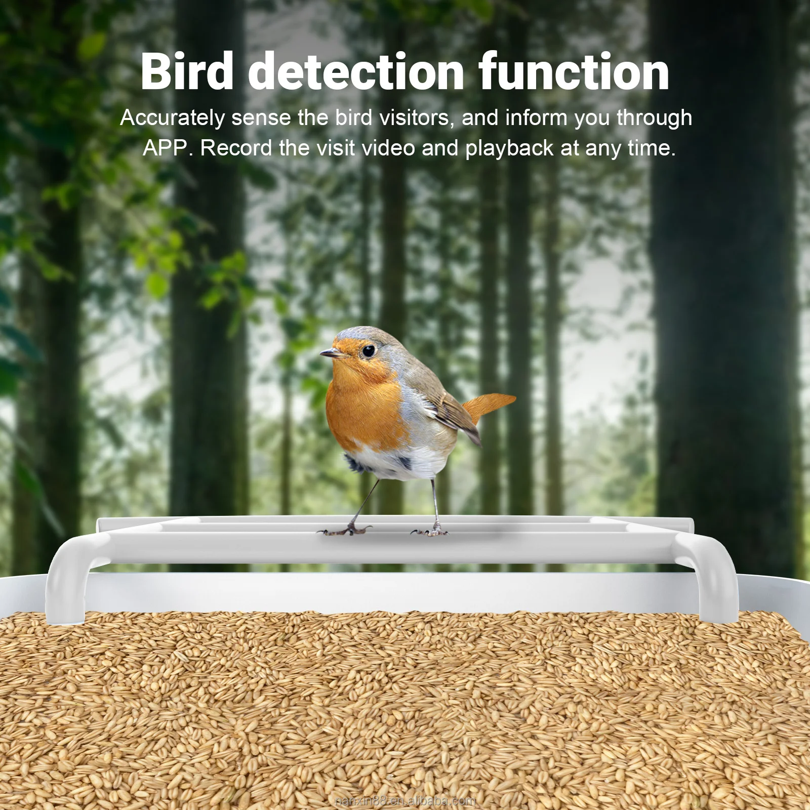 APP Control Smart Bird Feeder with Camera Bird House with Camera for  AI Recognize Bird Species