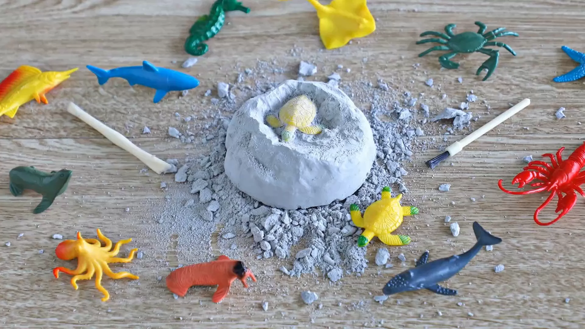 astm approved plastic sea creature dig marine animals