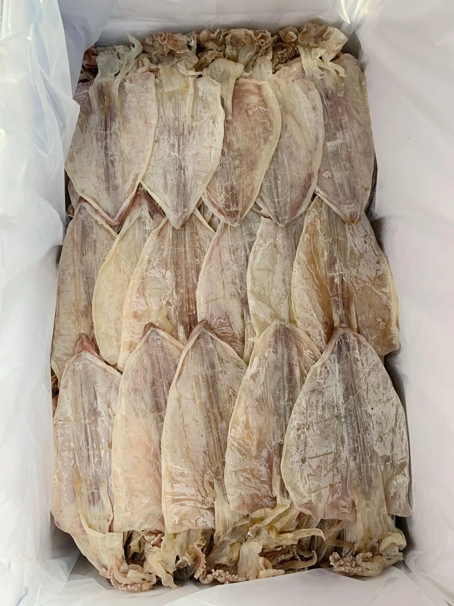 Dried Squid Dry Squid Dried Calamari Premium Grade Cuttlefish Buy