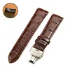 Brown silver buckle