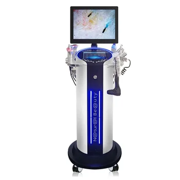 10 In 1 Skin detection facial skin care machine instrument facial lifting and anti-aging wrinkle