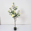 Giallo 120 cm staccabile