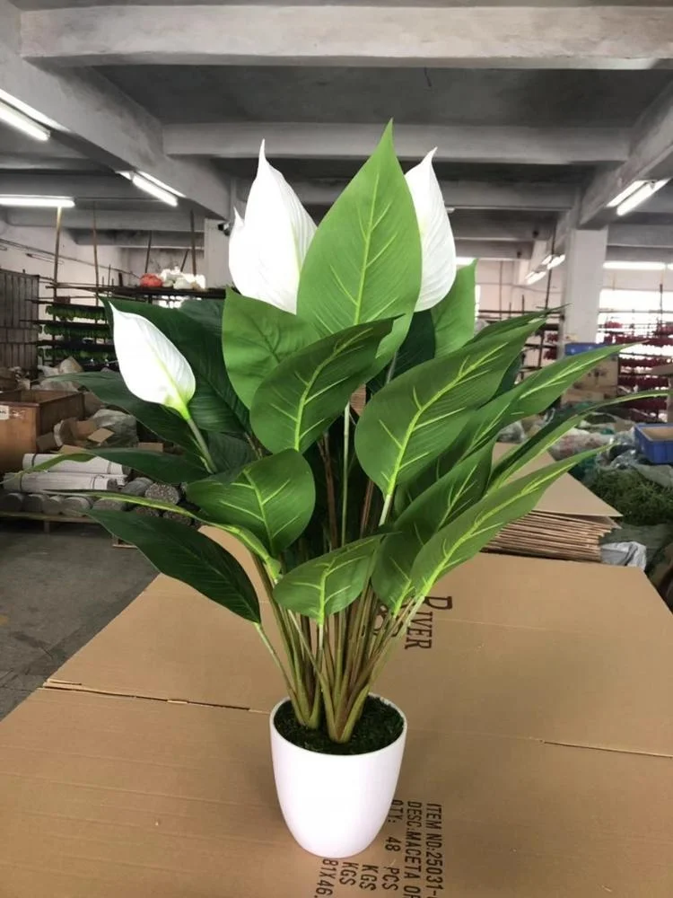 Artificial Peace Lily Plant Peace Lily Flower White Flowers Buy