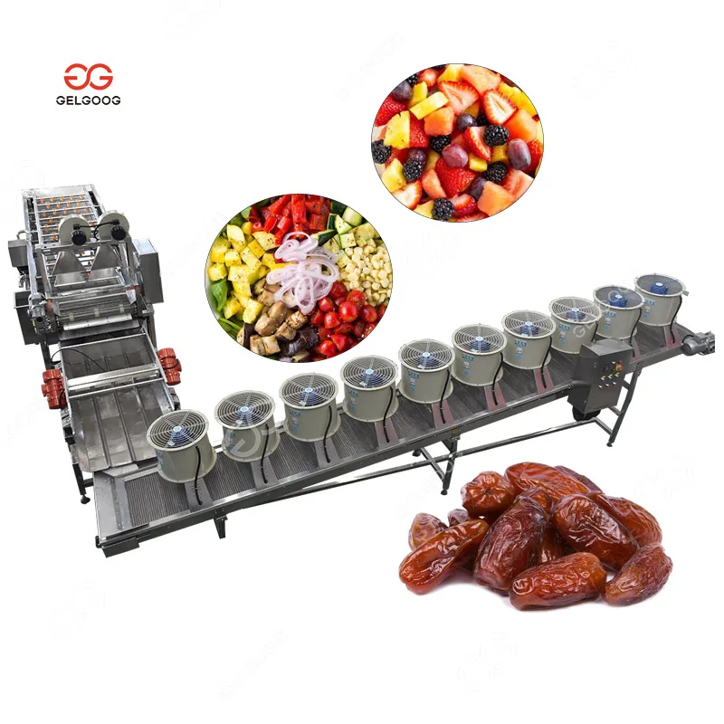 Automatic Electric Fruit and Vegetable Cleaner Coconut Meat Washer Mango Bubble Wash Machine