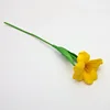 Yellow flowering tulips
