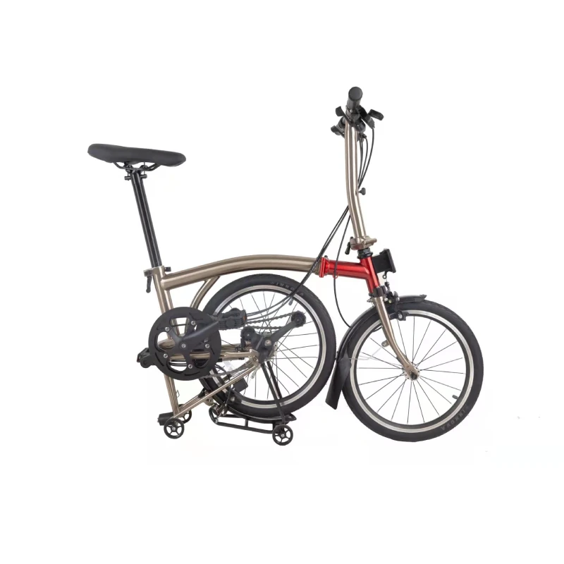 EWIG Hot Sale Foldable Bike New Arrival 6 Speed 16 Inch Carbon Steel Folding Bike Bicycle