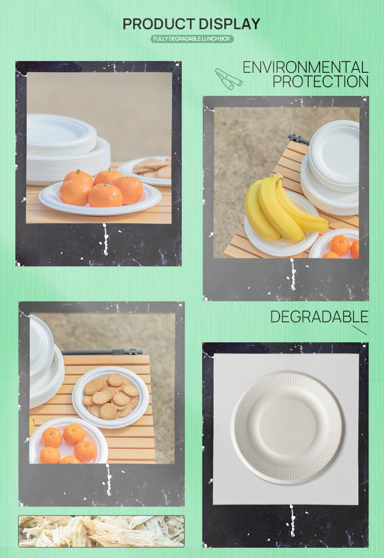 Wholesale Sugarcane Bagasse Paper Pulp Mould Biodegradable Plates Bulk ...