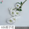 Gardenia LFM blanca de 6 cabezas