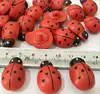 Coccinella
