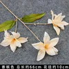 Champagne-colored three-pronged lily branch