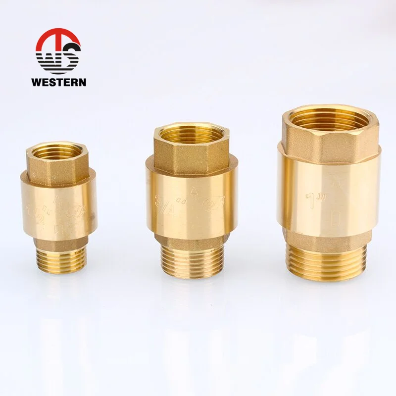 1/2 - 4 дюйма, гигиенический кованый латунный поворотный вертикальный пружинный обратный клапан