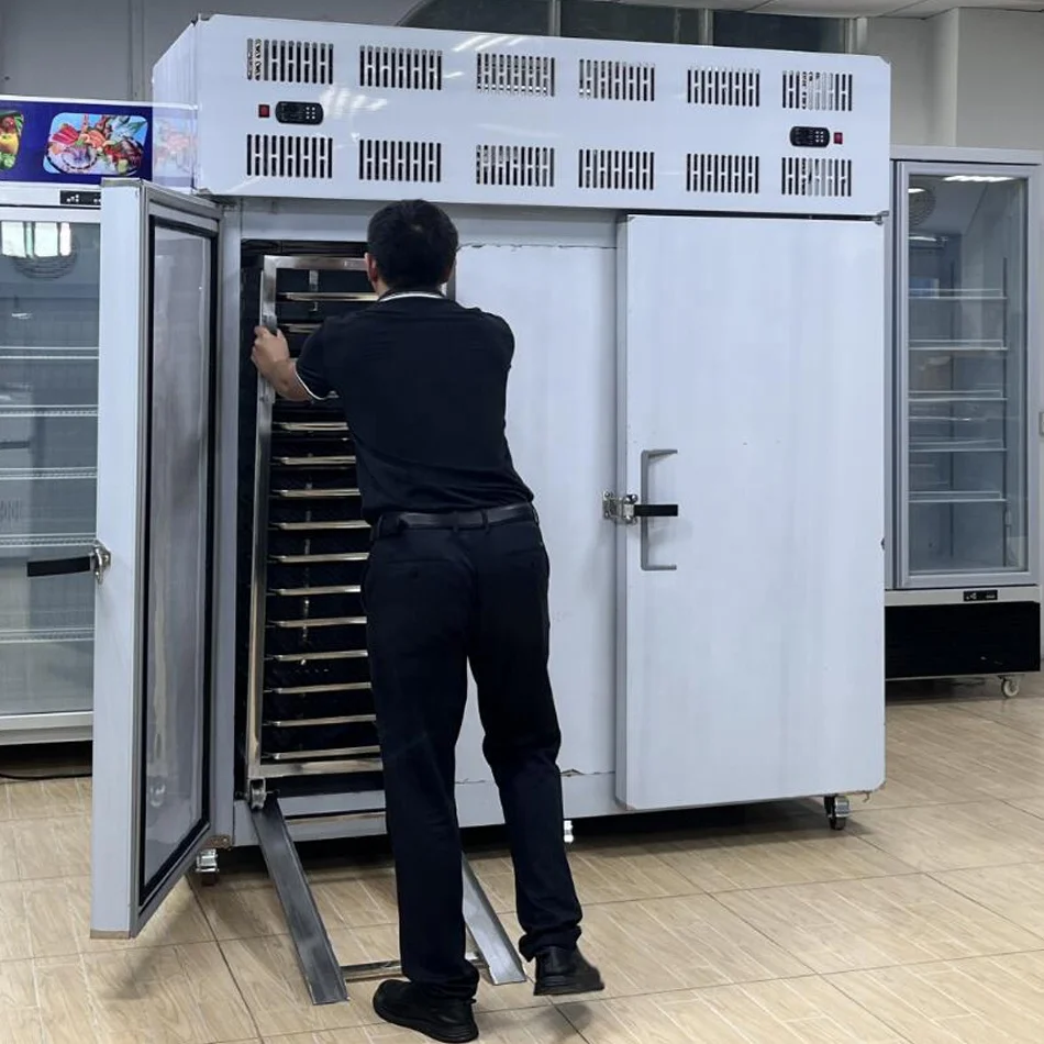 IQF Freezing Tunnel Low Deep Freezer Commercial Industrial Upright Blast Chillers and Shock Freezers