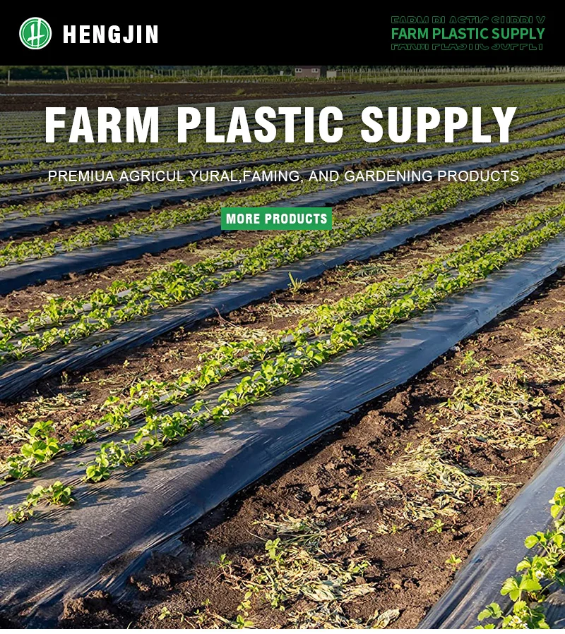 China Factory Wholesale Agriculture growing ground cover plastic mulching paper sheet agricultural mulch film