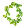 Green 7