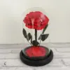 Grand fond noir rouge sans lampe avec boîte cadeau