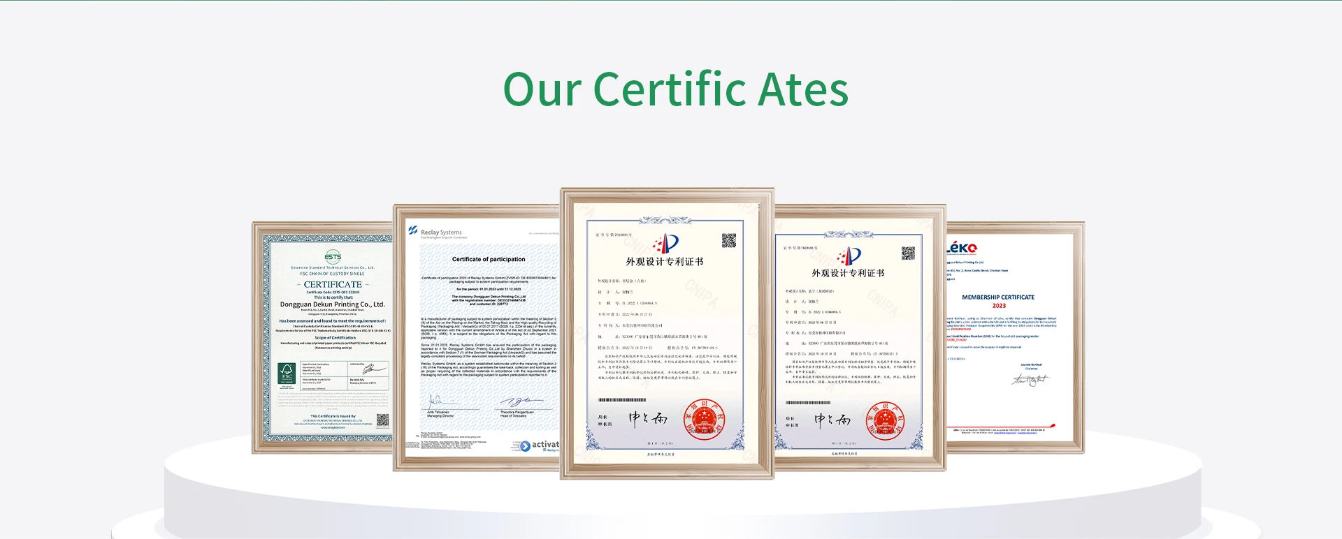 Custom Shape Self Erecting Mailer Box for Cosmetic Use with Corrugated Packaging