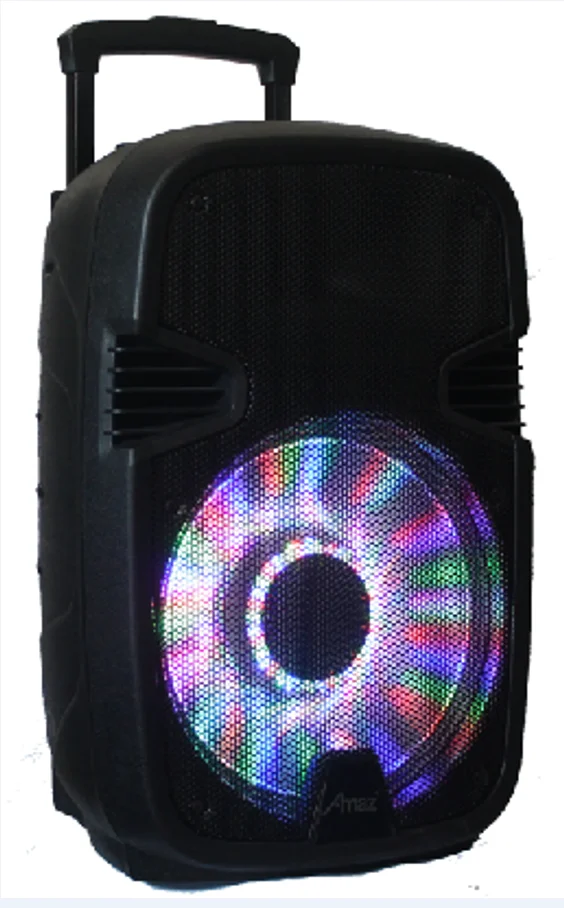 Amaz China Factory Price 12 Inch Classical Trolley Speaker