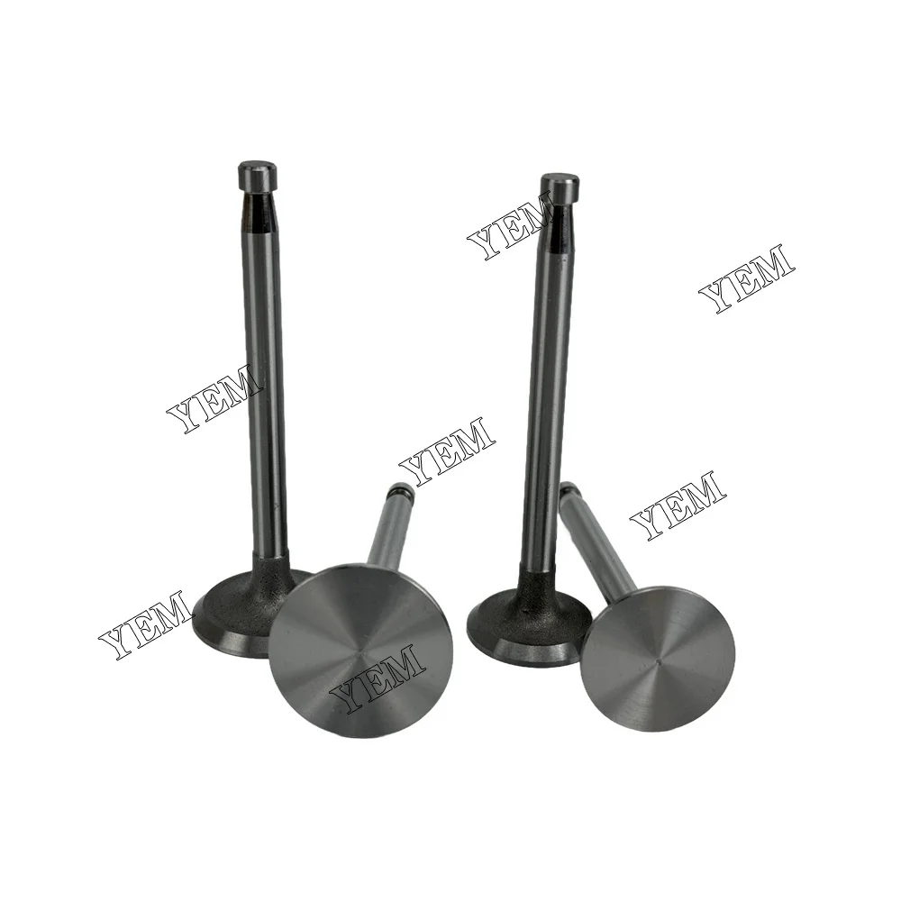 295AD Valve for SDEC Engine Repair Kit Valve Industrial Machinery Engine Parts 2