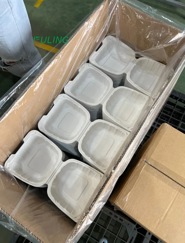Takeout Container Disposable Biodegradable Hard togo Foam Mfpp Compartment Plastic Hinged Food Container