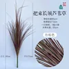 Large bunches of long-bearded reeds, reddish-brown