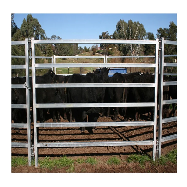 Easy for Installation Quantity Discounts Cow Panels 8x50 Cow Feed Panel Cow Horn Panel