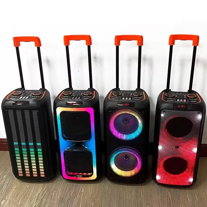 Ndr 1098 Professional Big Speakers Outdoor Dj  Speaker Karaoke for Loa