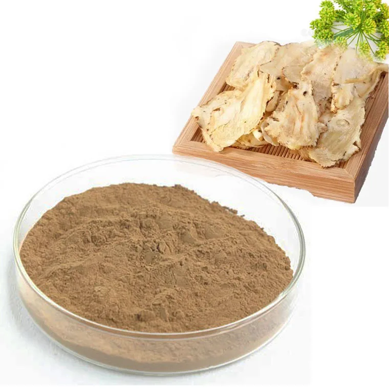 Manufacturer Supplier Angelica Root Extract Imperatorin angelica extract