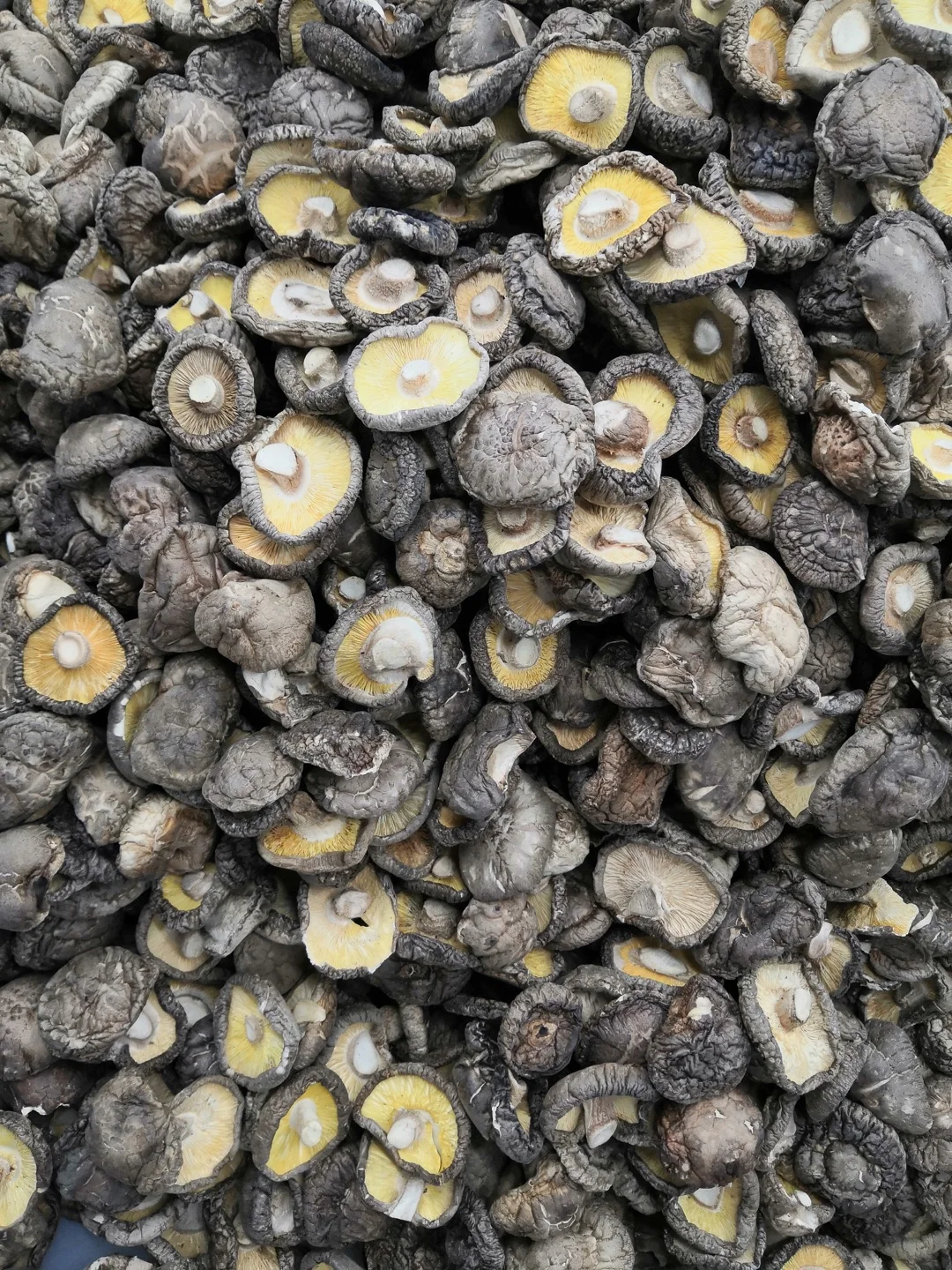 Хит продаж, сухие грибы, грибы шиитаке, грибы оптом
