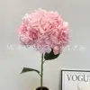 Hortensia de color rosa intenso con bordes rizados