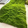 Green-013