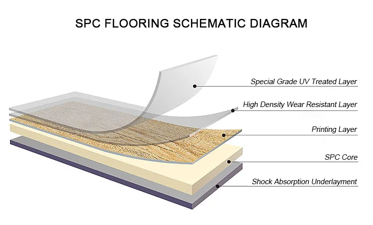 SPC Schematic Diagram.jpg