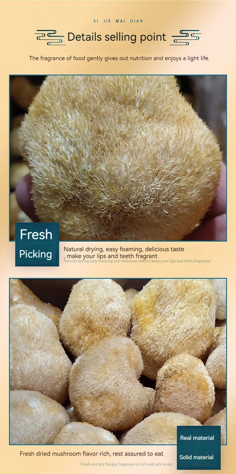 猴头菇狮子鬃毛蘑菇