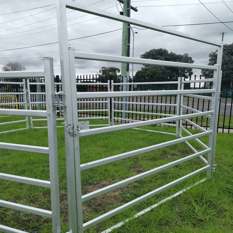 Livestock Corral Panels Square Tube Type Pipe Fence For Cattle And ...