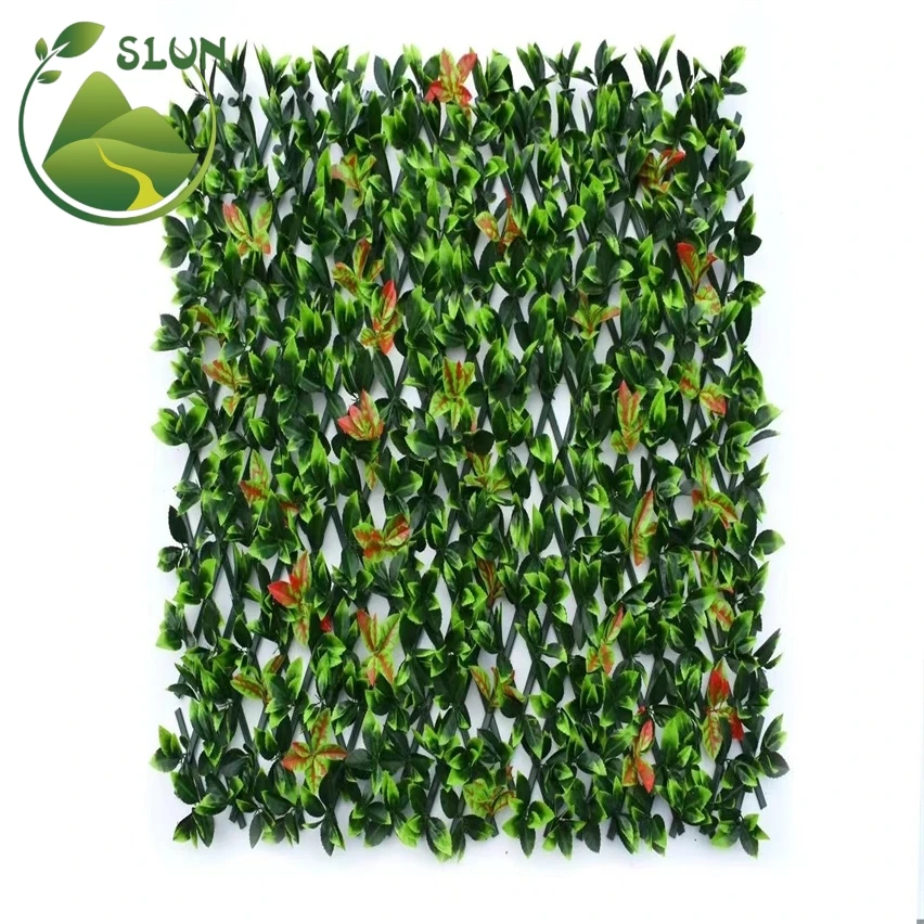 efeutute binden XXL Efeutute Scindapsus 150cm  Green Me Up