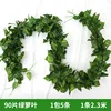 ใบโพธอส 90 ใบ ก้าน 5 ก้าน