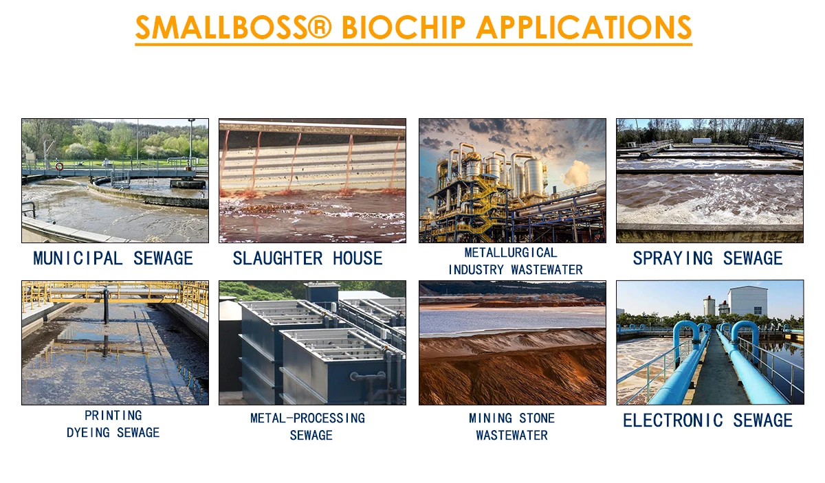 Package Mbbr Biochip Moving Bed Biofilm Reactor Waste Water Treatment ...