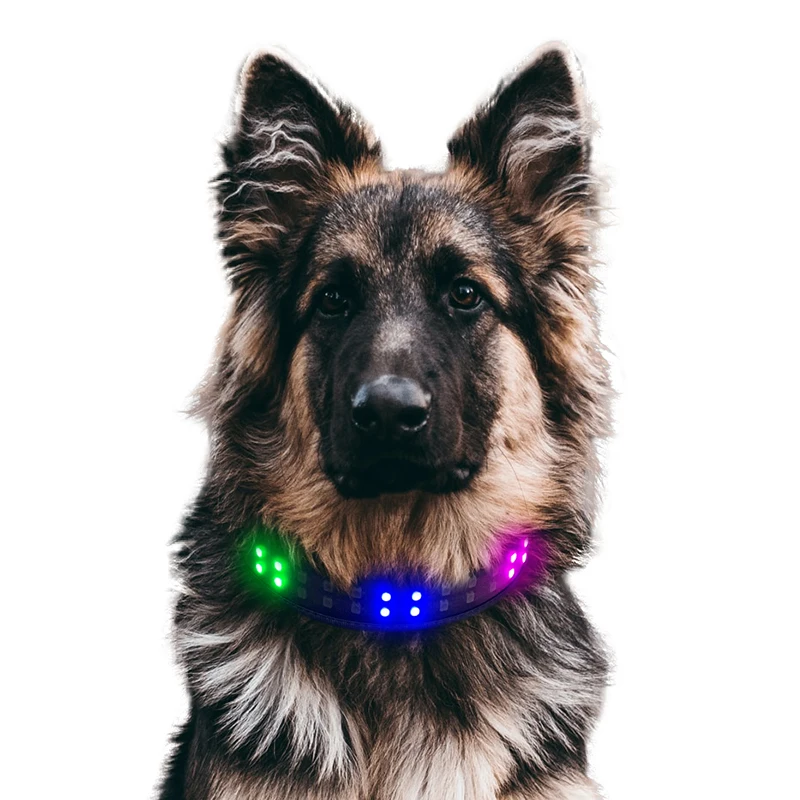 Smart Phone APP Control  Highlight LED Pet Collar with Pin Buckle Luminous Dog Necklace