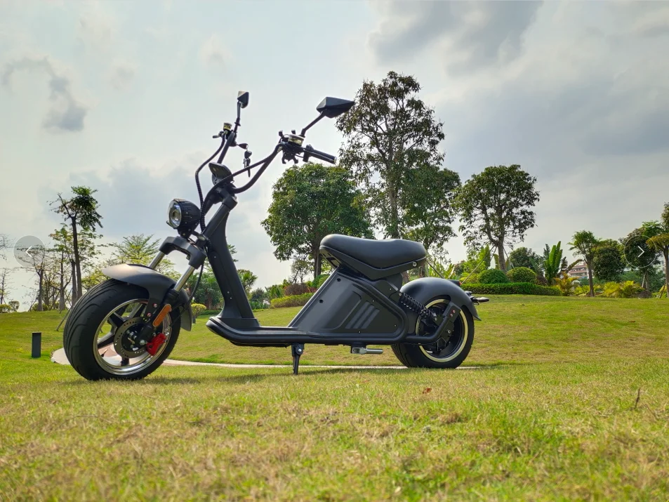 Fat Tire Scooter 2000w